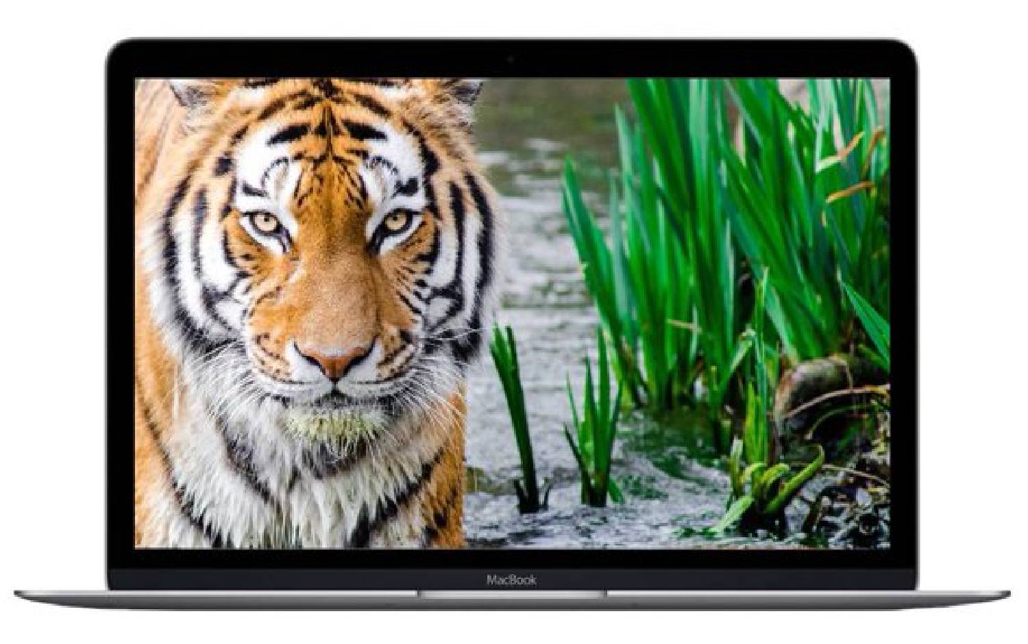 Apple Macbook 12 Mid-2017 Intel Core i7 7th Gen 16GB RAM 500GB SSD macOS Ventura 13.3